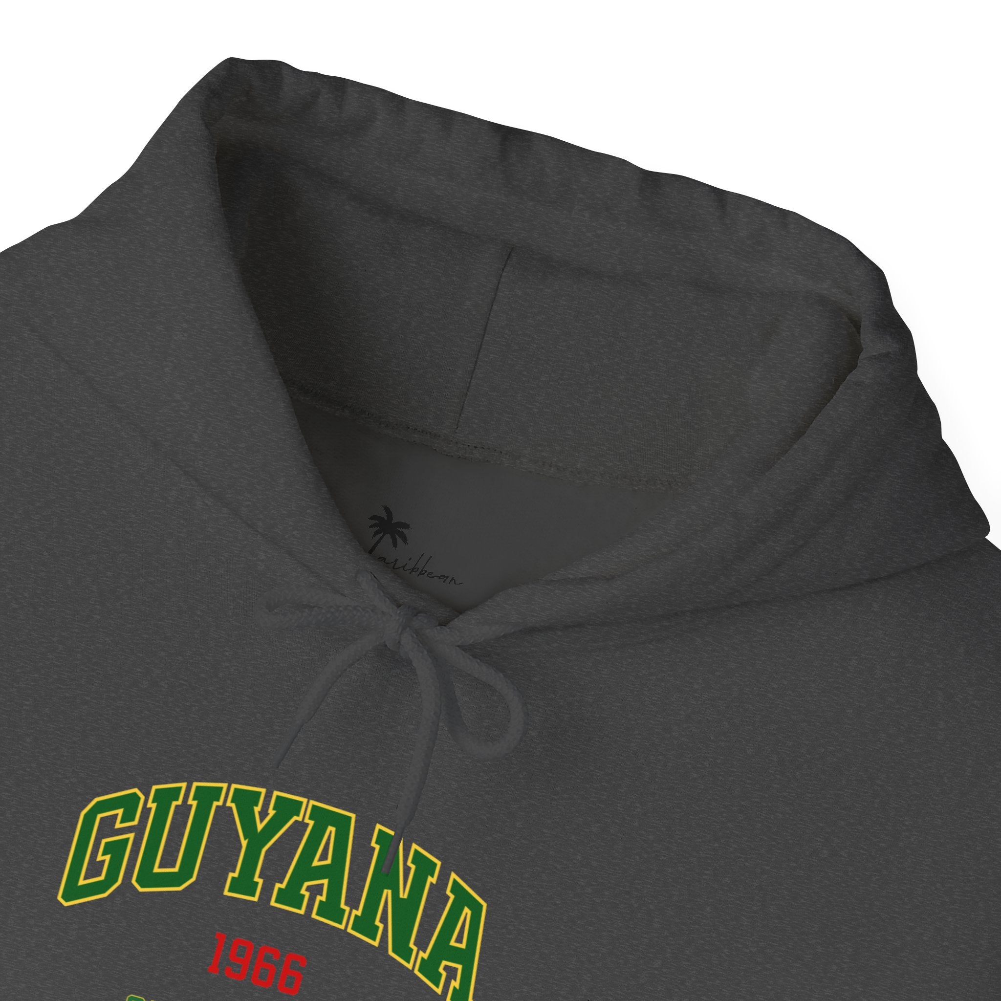 Guyana Independence 1966 Hoodie