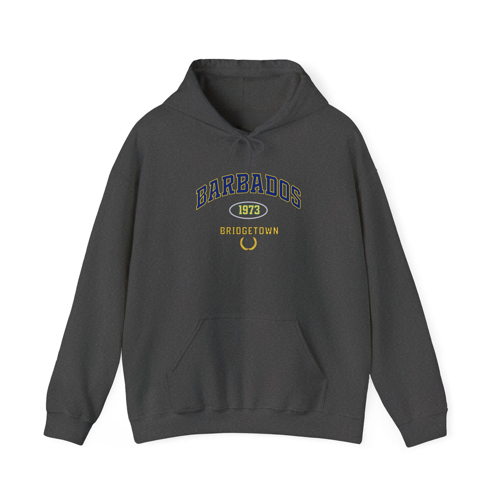 Barbados Independence 1973 Hoodie