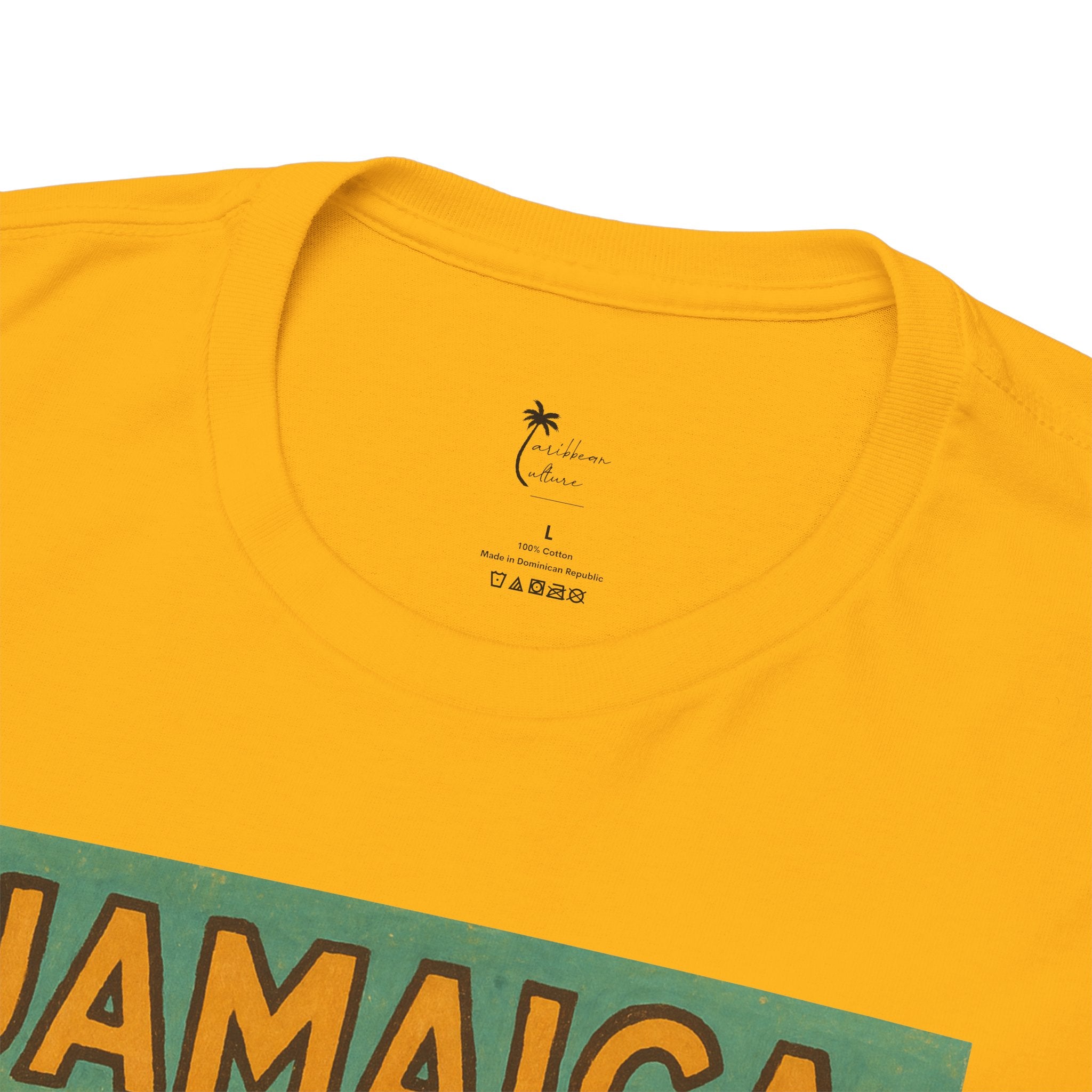 Jamaica - Waterfall Vintage T-Shirt