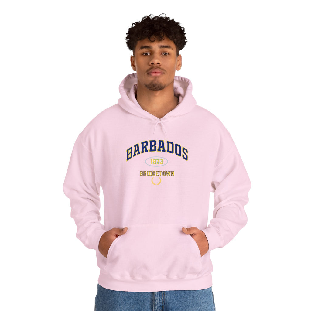 Barbados Independence 1973 Hoodie