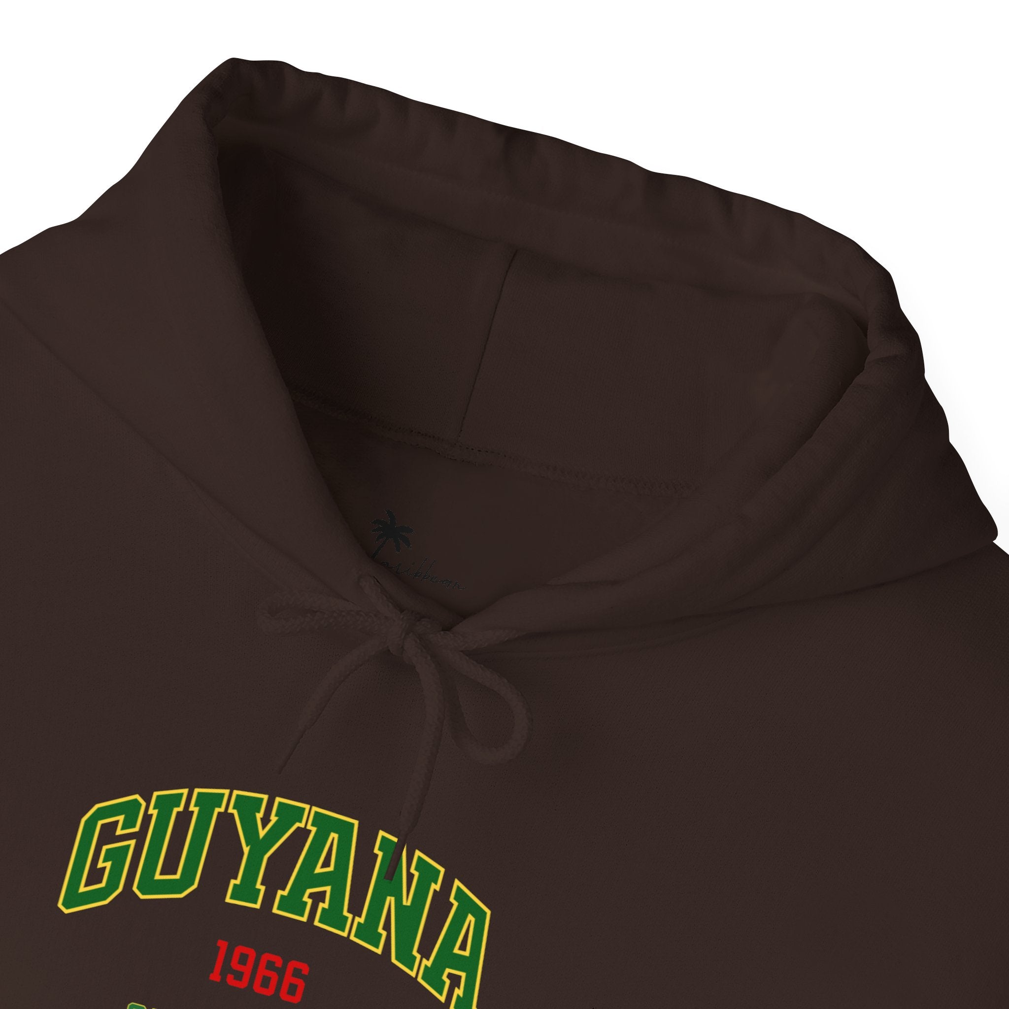 Guyana Independence 1966 Hoodie