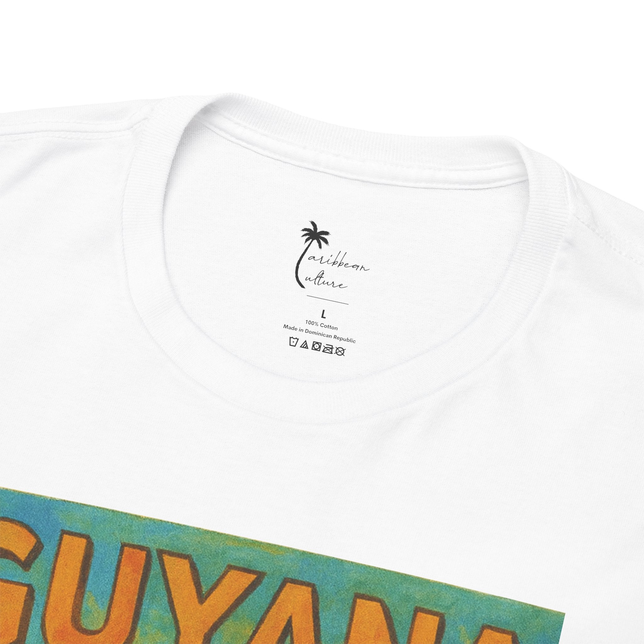 Guyana - Kaieteur Falls Vintage Travel T-Shirt