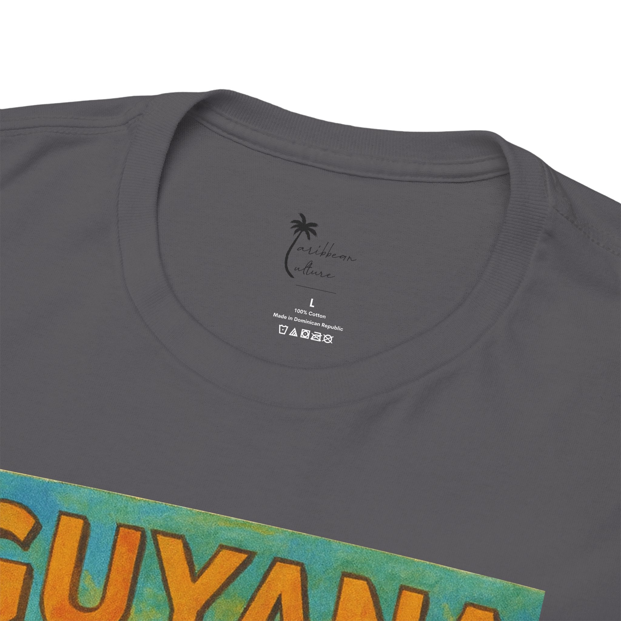Guyana - Kaieteur Falls Vintage Travel T-Shirt
