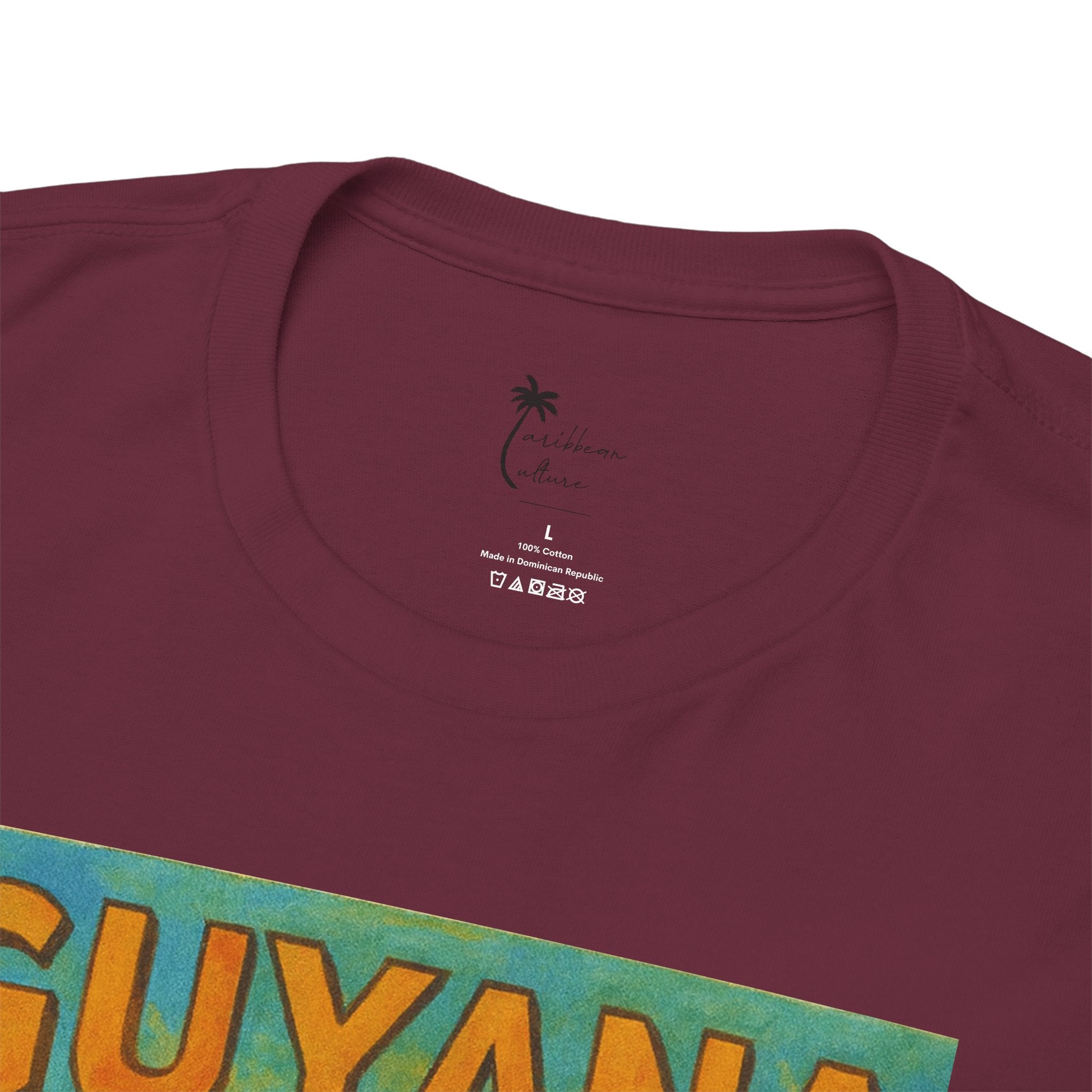 Guyana - Kaieteur Falls Vintage Travel T-Shirt