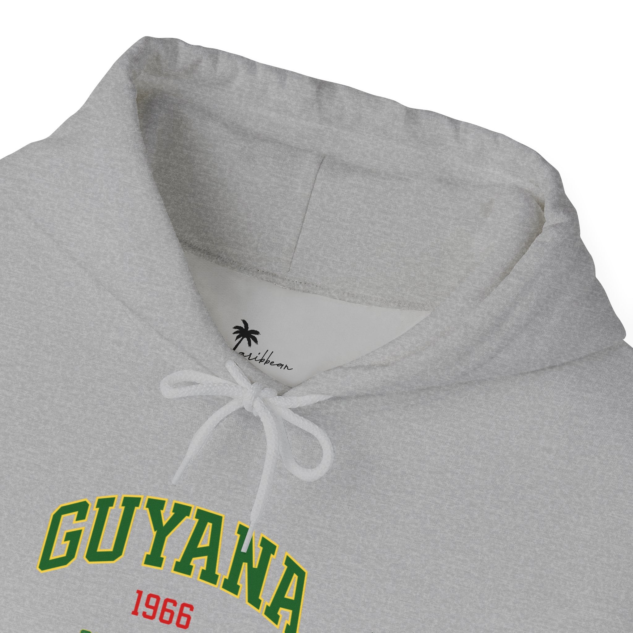 Guyana Independence 1966 Hoodie