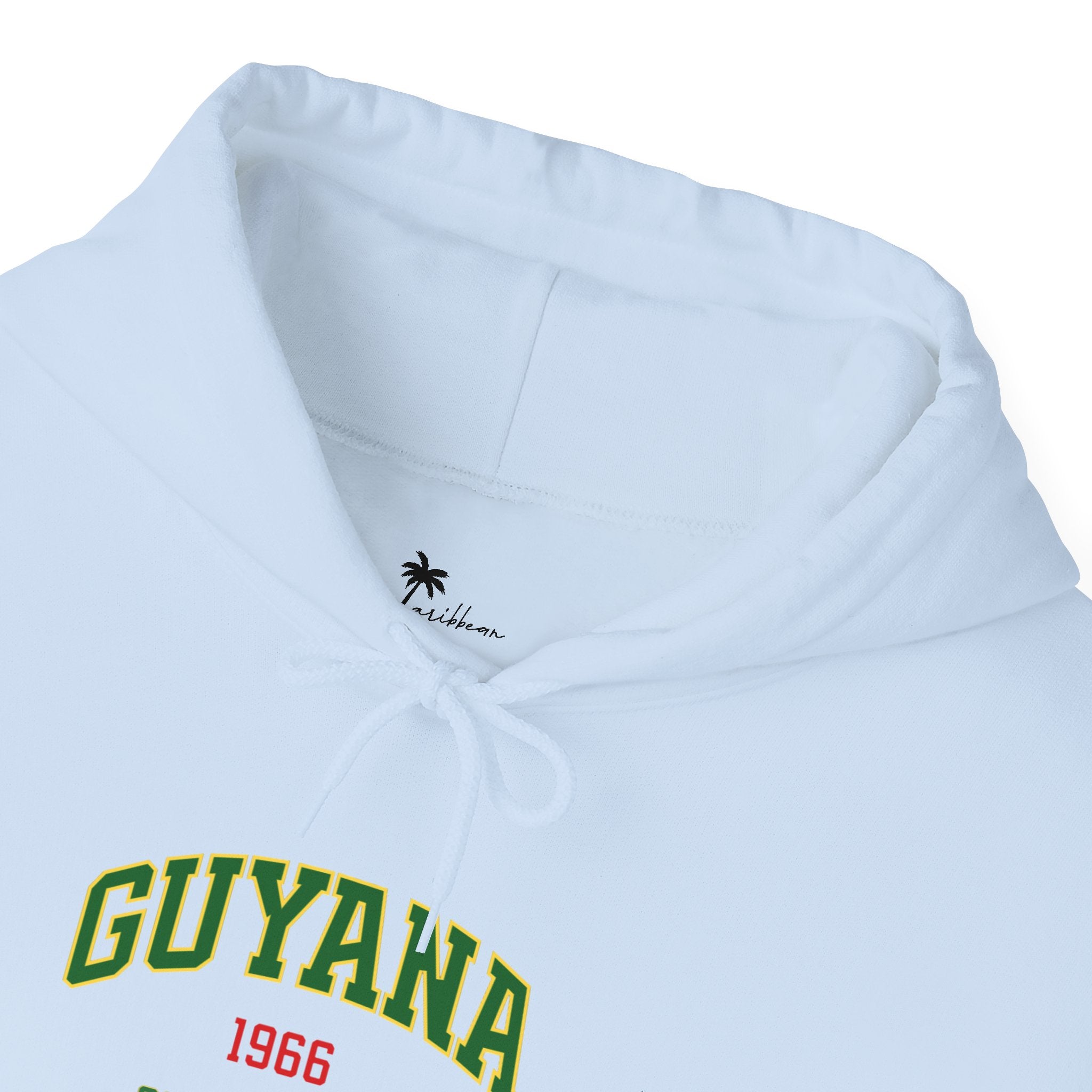 Guyana Independence 1966 Hoodie