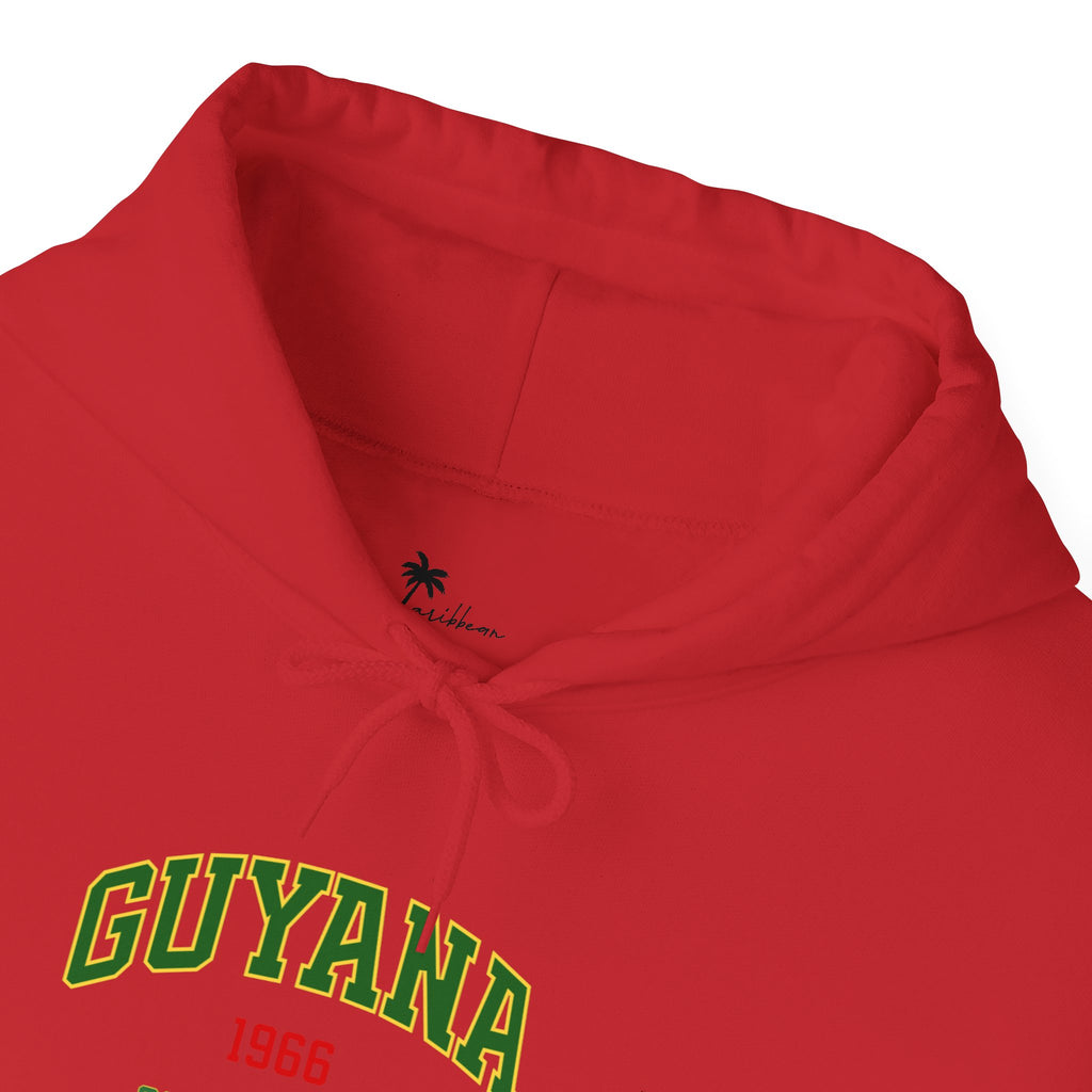 Guyana Independence 1966 Hoodie