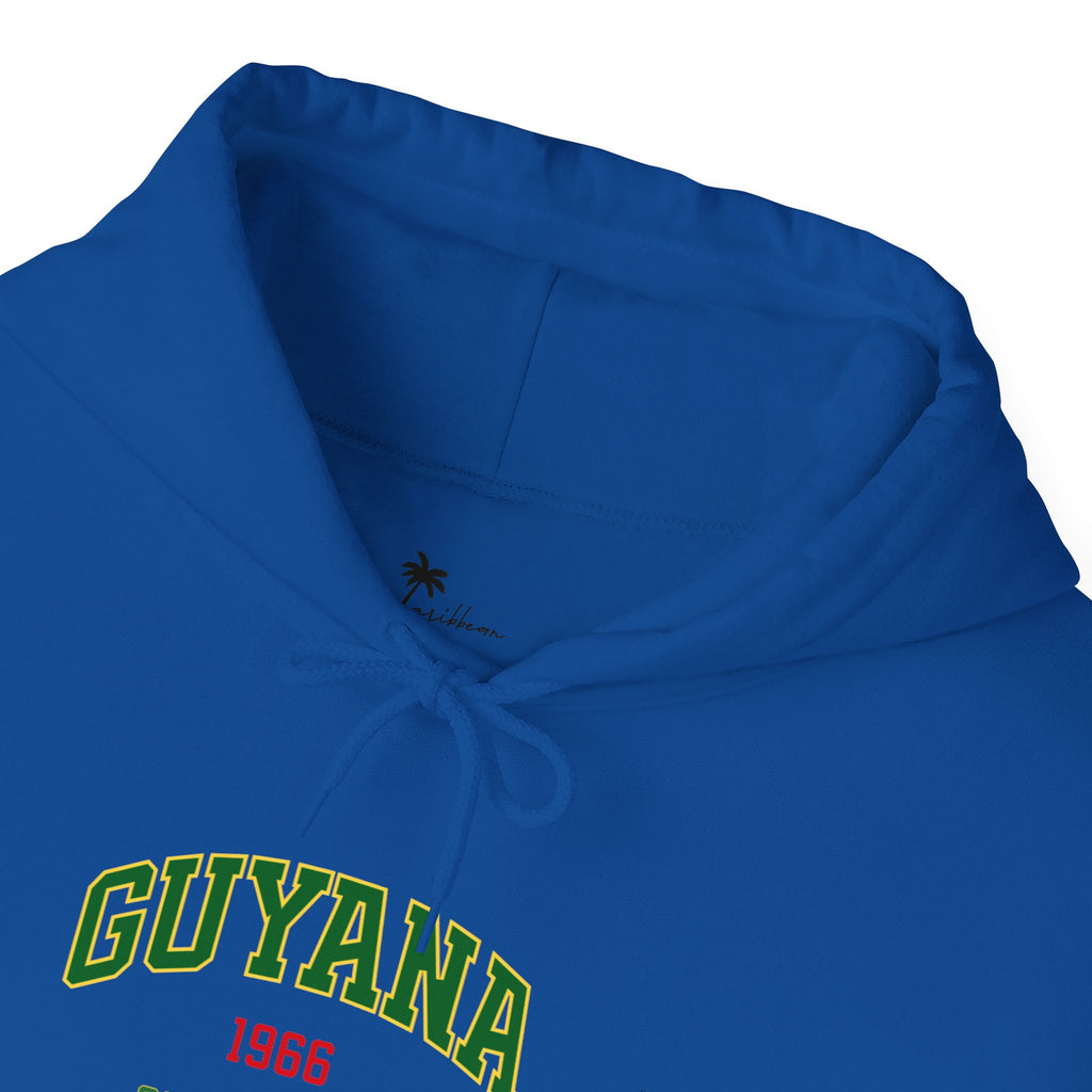 Guyana Independence 1966 Hoodie