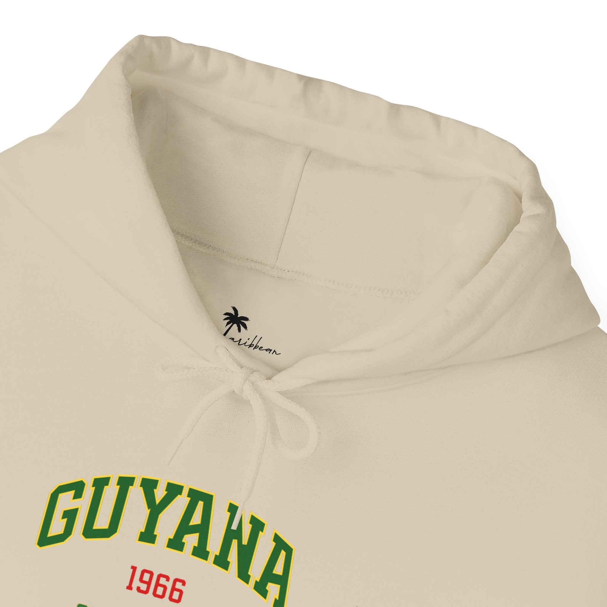 Guyana Independence 1966 Hoodie