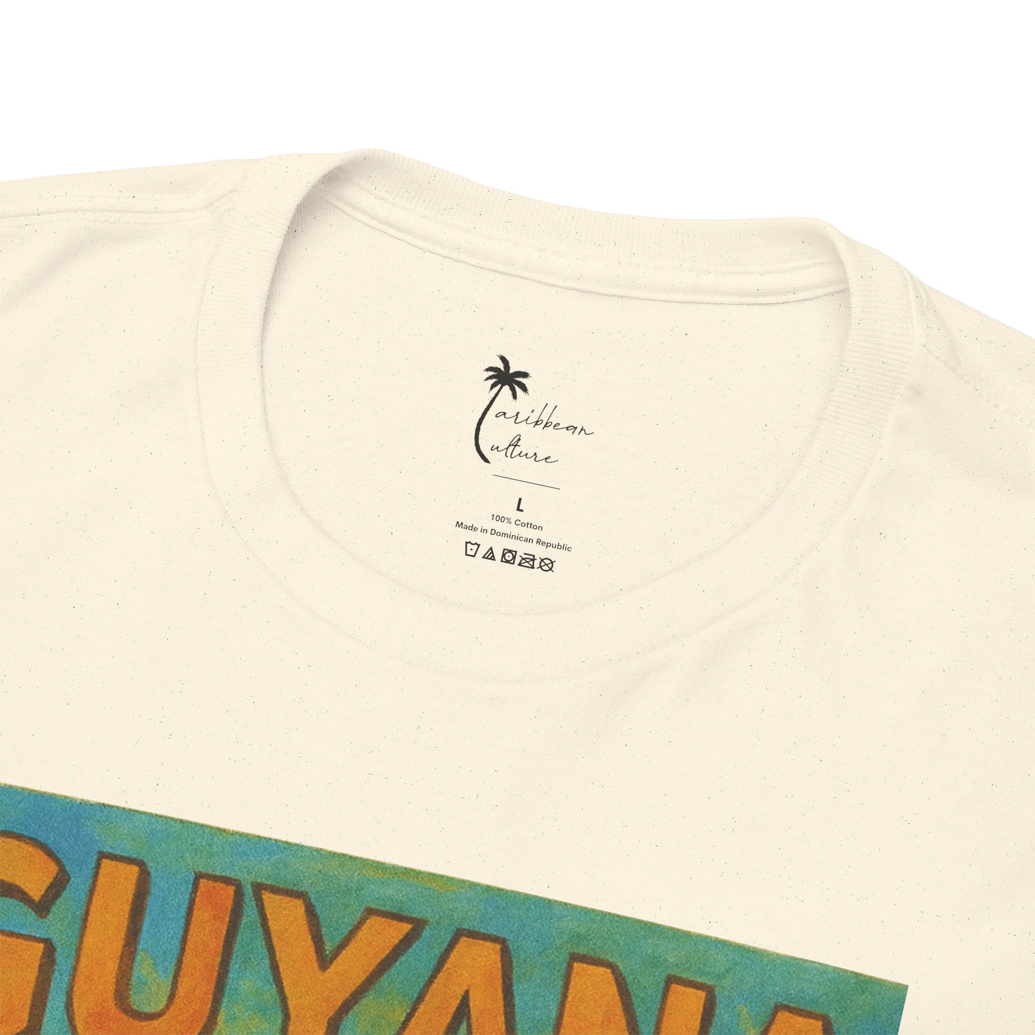 Guyana - Kaieteur Falls Vintage Travel T-Shirt
