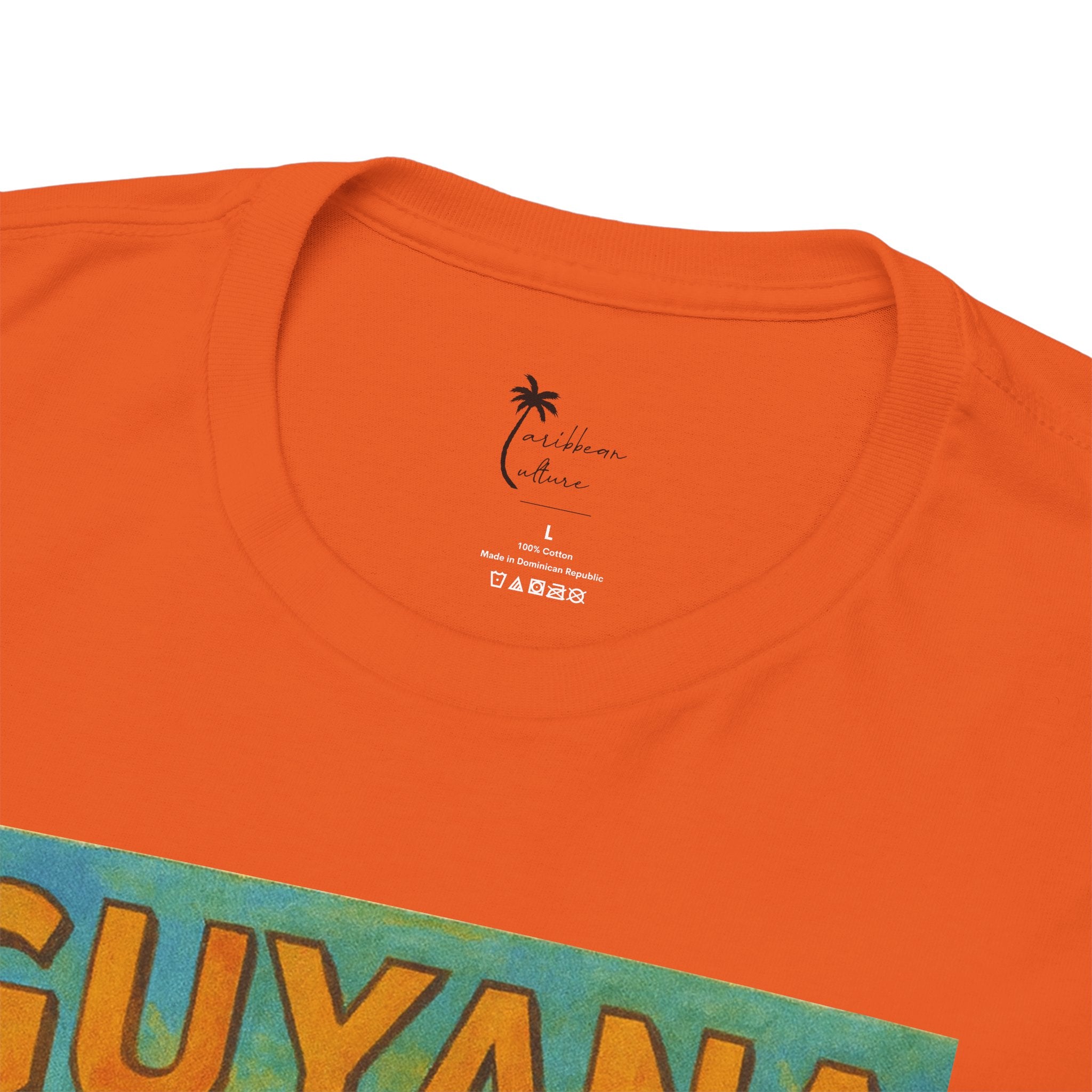 Guyana - Kaieteur Falls Vintage Travel T-Shirt