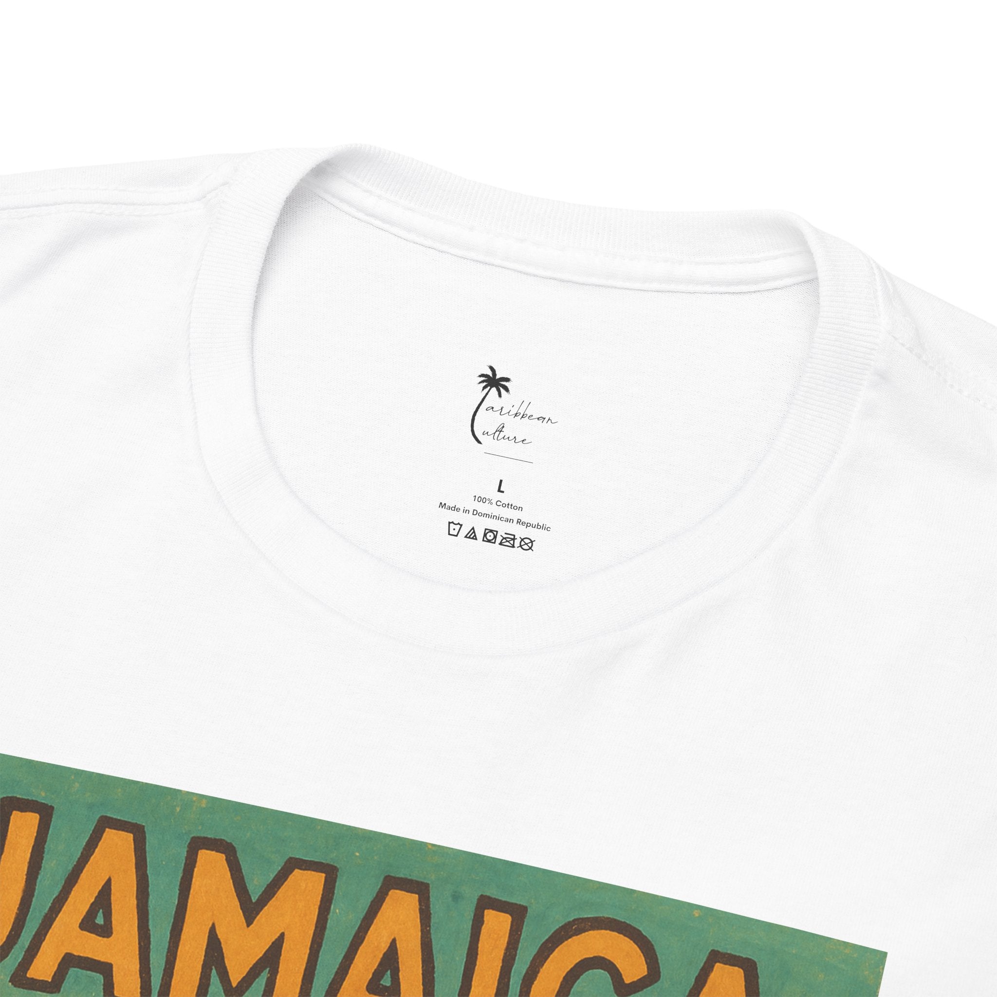 Jamaica - Waterfall Vintage T-Shirt