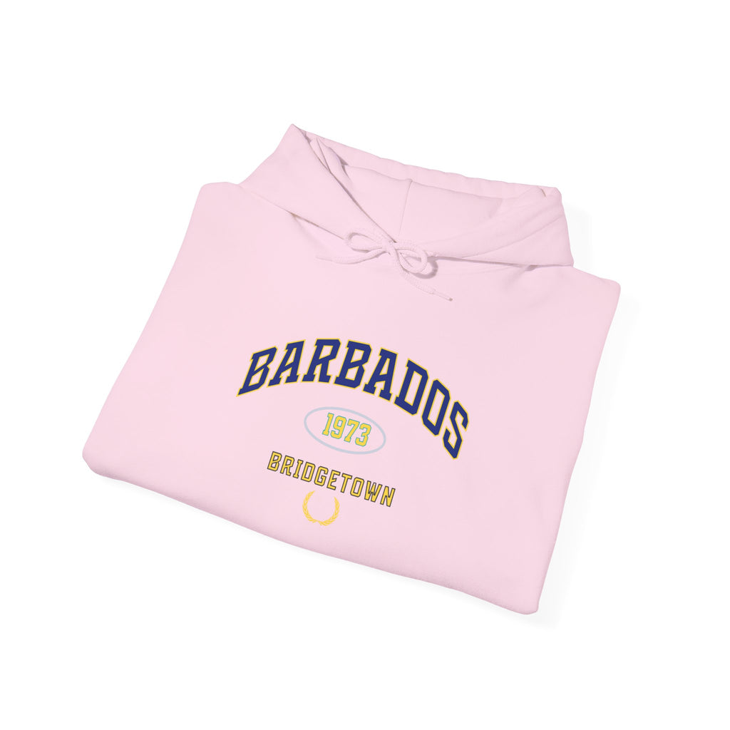 Barbados Independence 1973 Hoodie