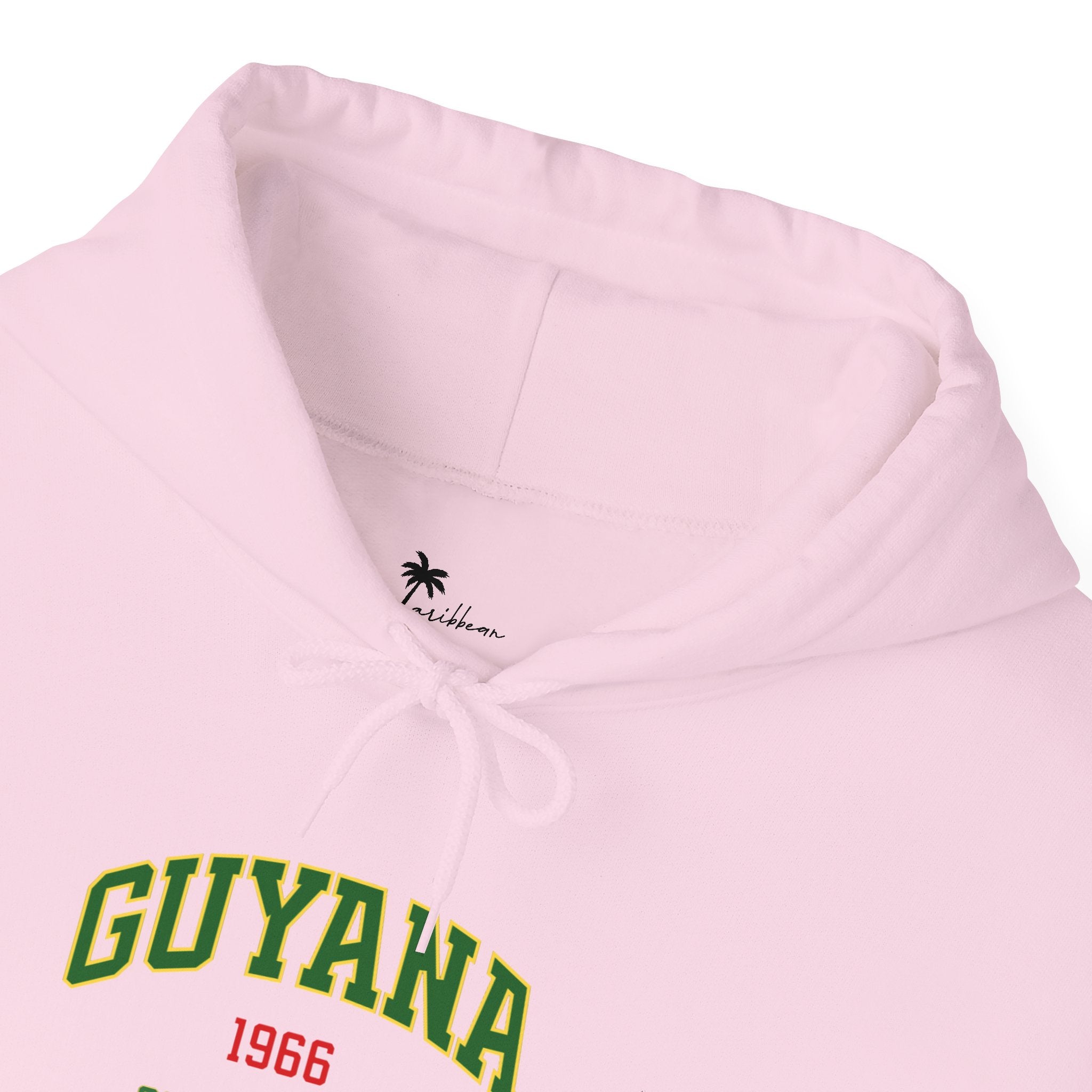 Guyana Independence 1966 Hoodie
