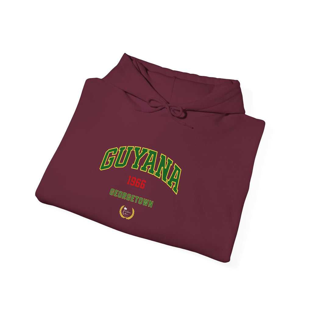 Guyana Independence 1966 Hoodie