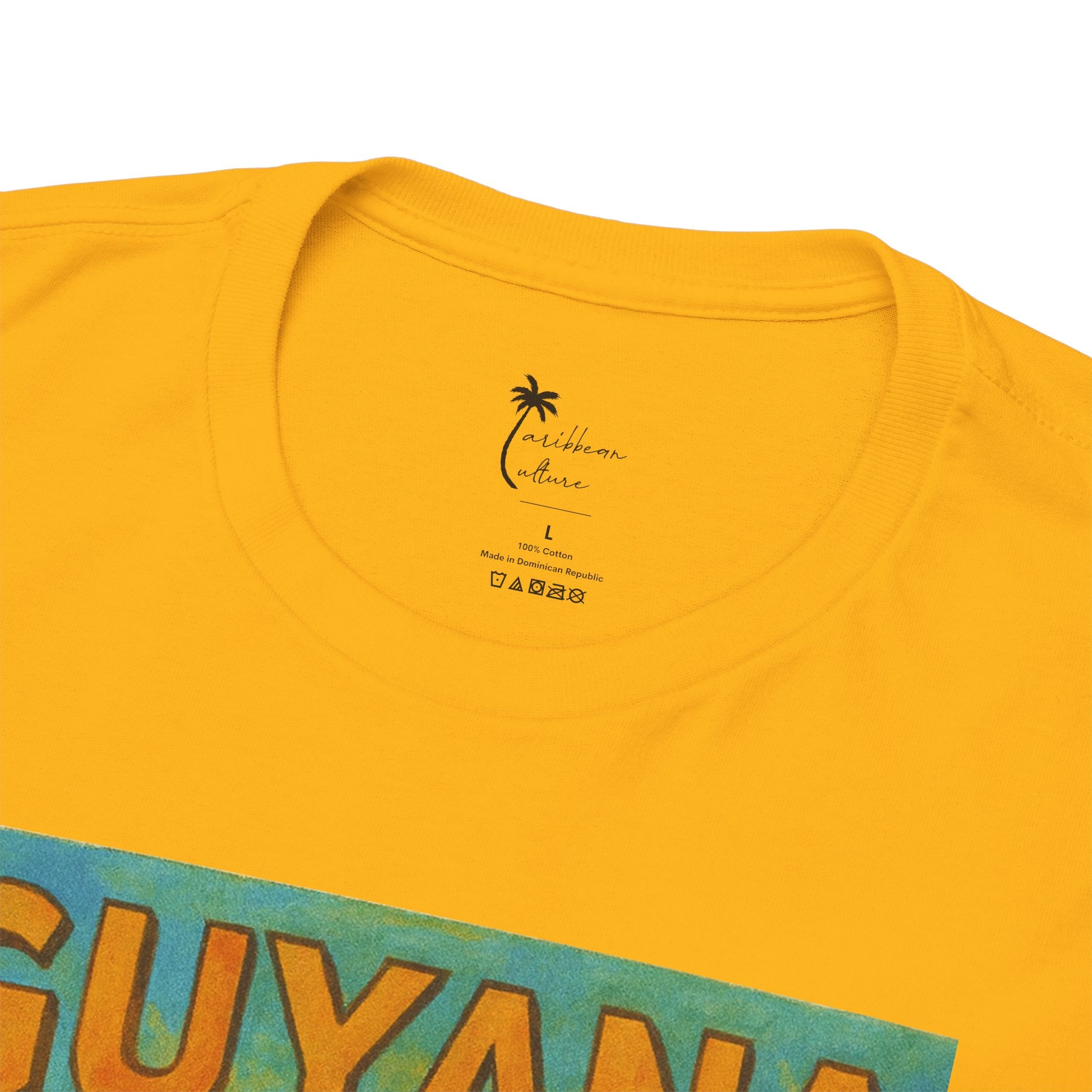 Guyana - Kaieteur Falls Vintage Travel T-Shirt