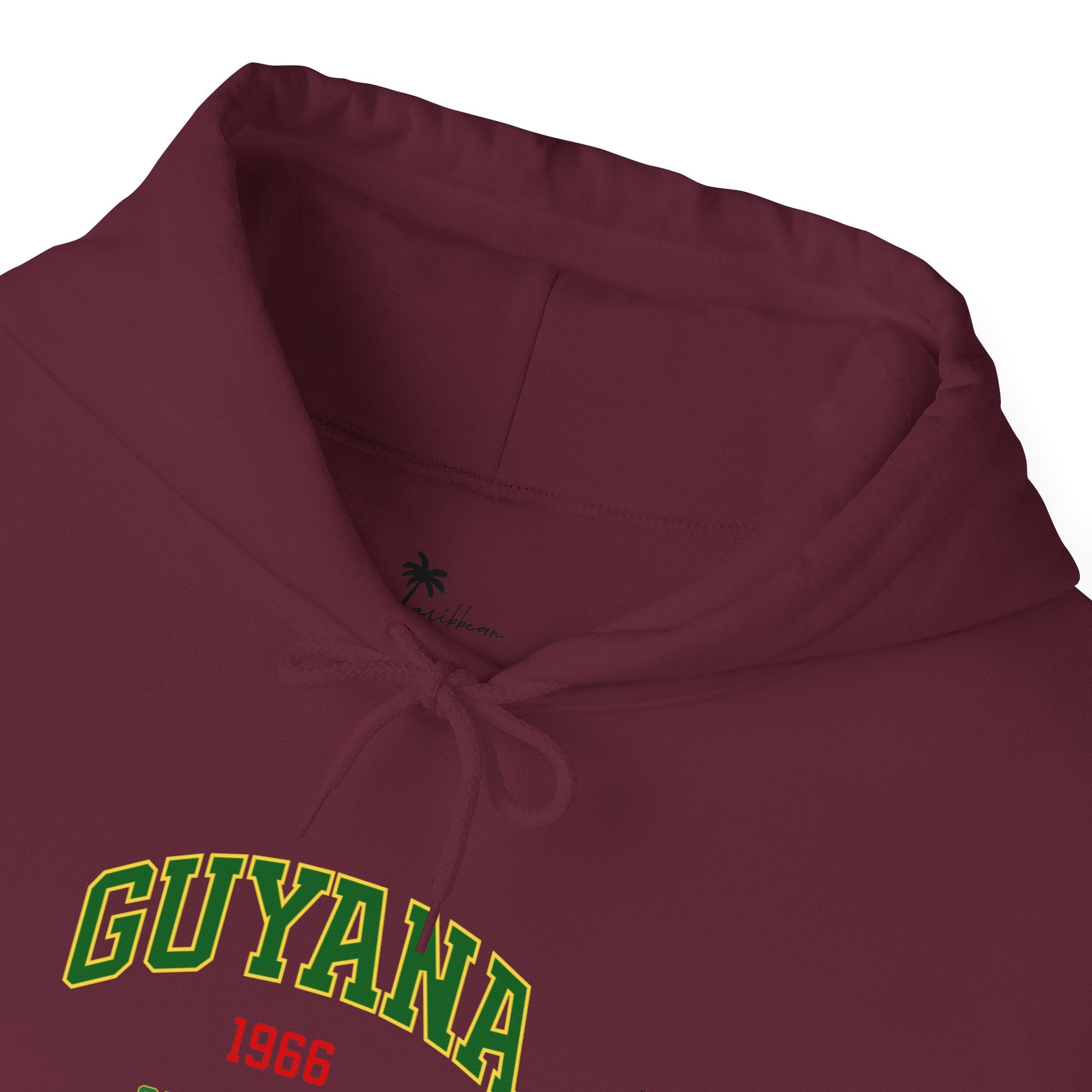 Guyana Independence 1966 Hoodie