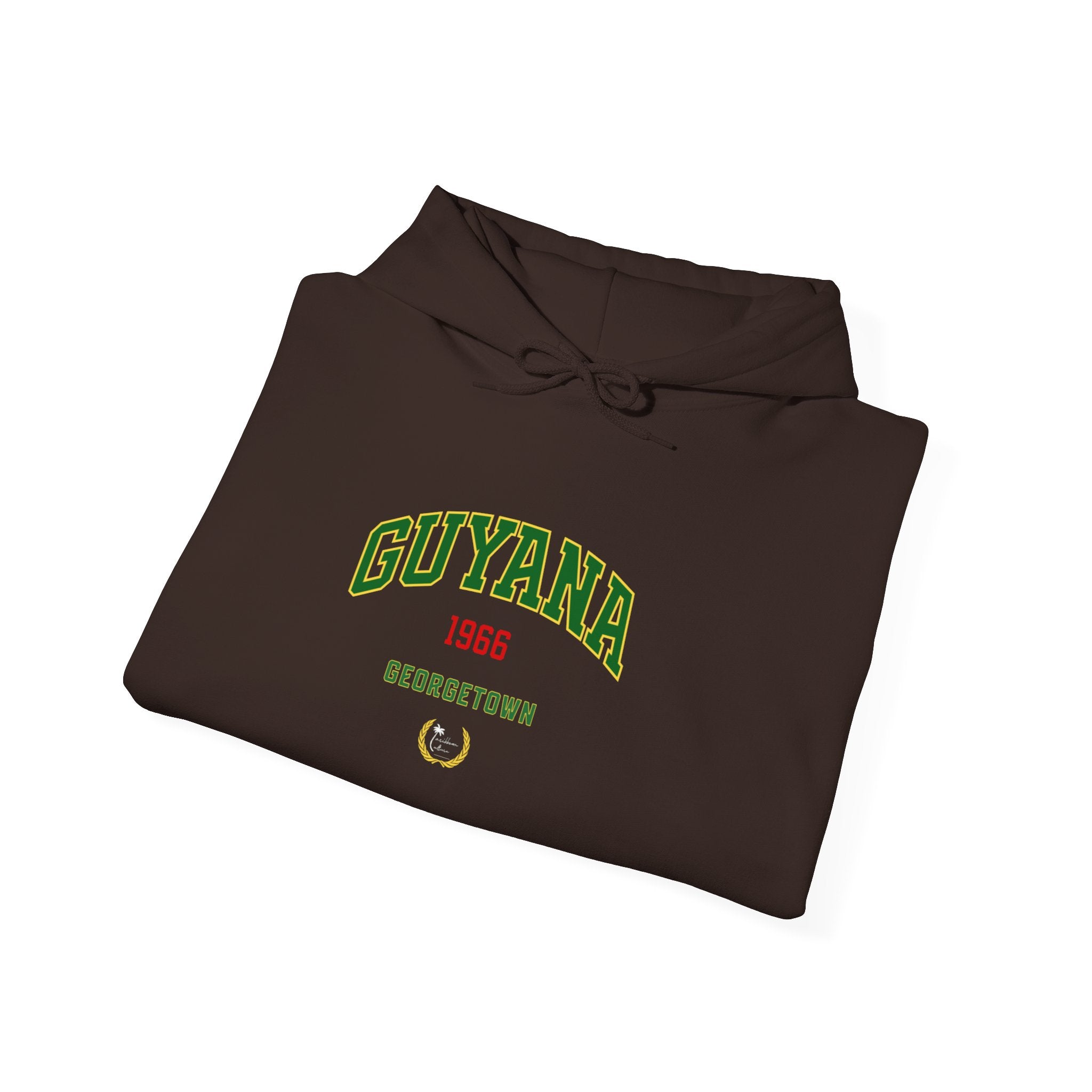 Guyana Independence 1966 Hoodie