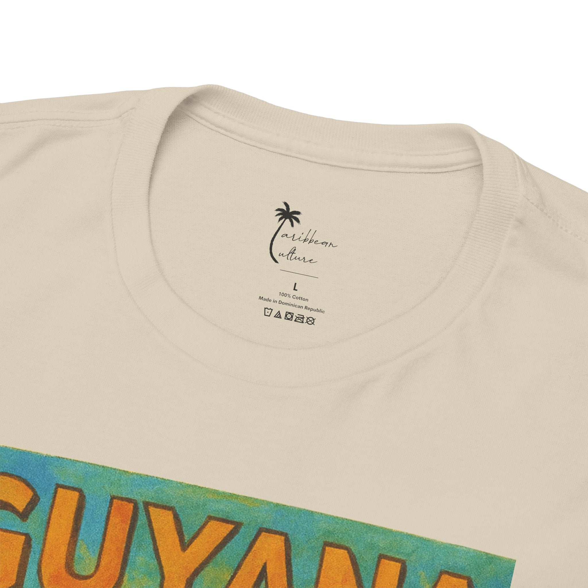 Guyana - Kaieteur Falls Vintage Travel T-Shirt