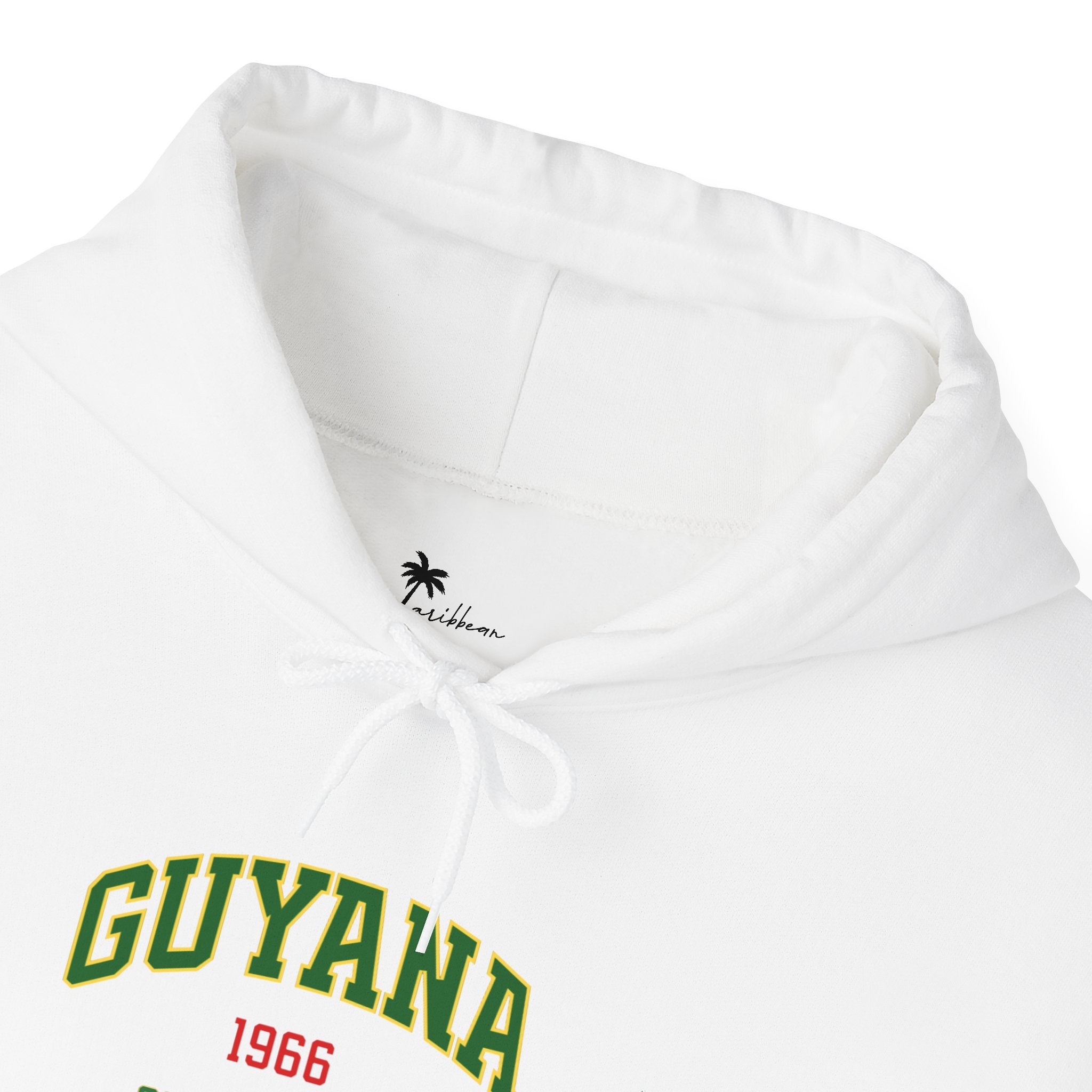 Guyana Independence 1966 Hoodie