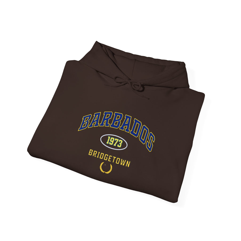 Barbados Independence 1973 Hoodie